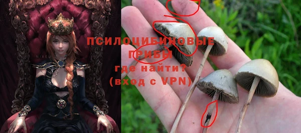 гашишное масло Абаза