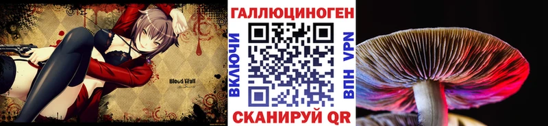 закладка  Власиха  Псилоцибиновые грибы Magic Shrooms 
