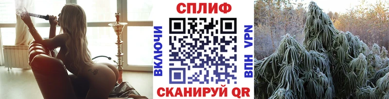 мориарти телеграм  Власиха  Канабис White Widow  как найти  